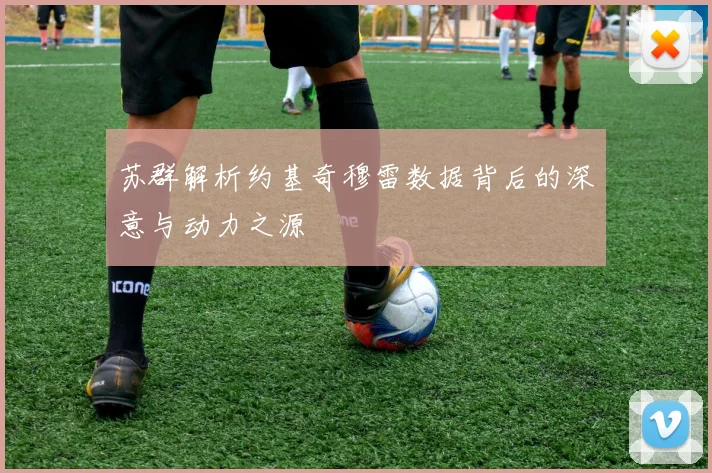 苏群解析约基奇穆雷数据背后的深意与动力之源